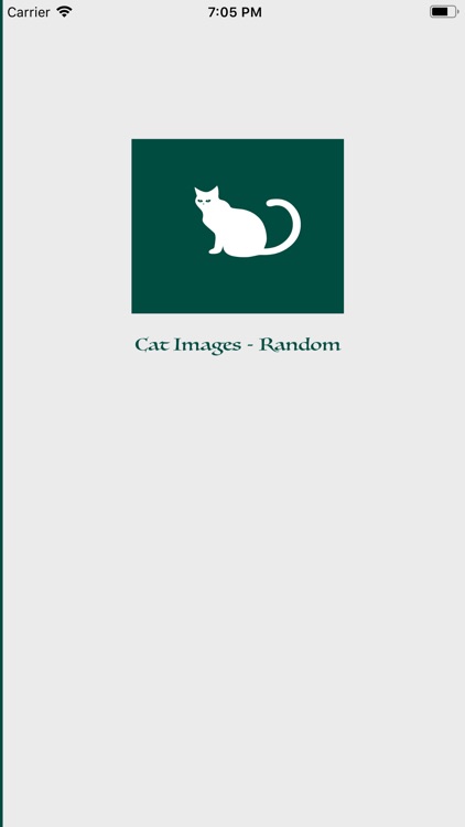 Cat Images - Random