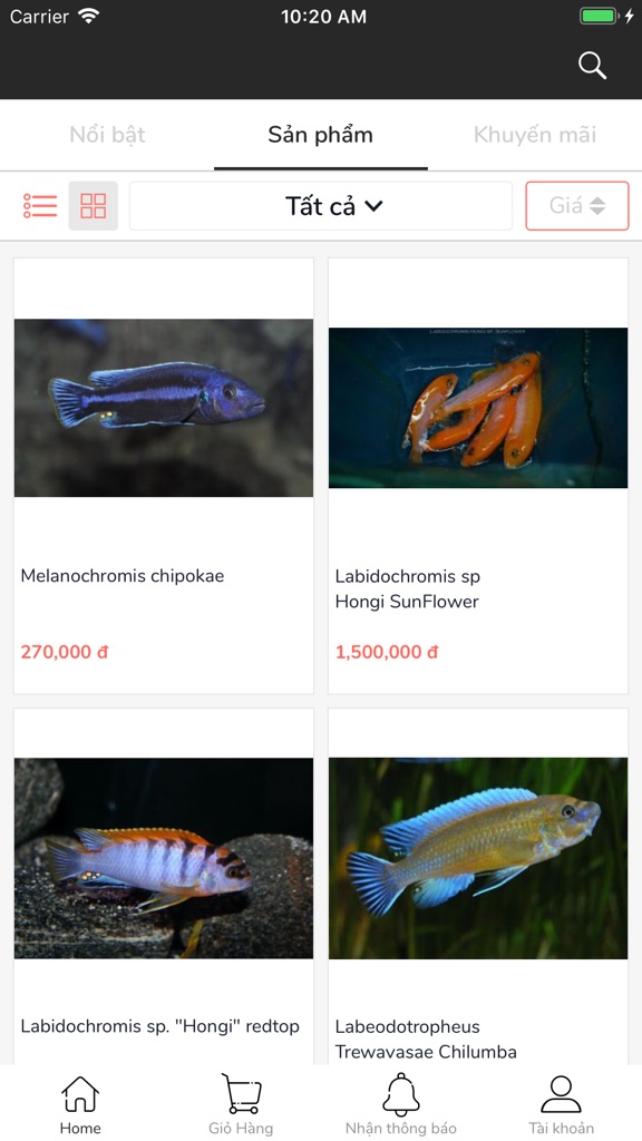 【图】Phong Ali(截图2)