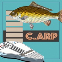 C.ARP pour PC