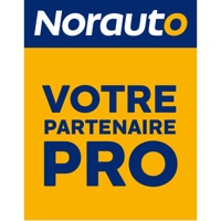 Solution Carrosserie Norauto sur PC