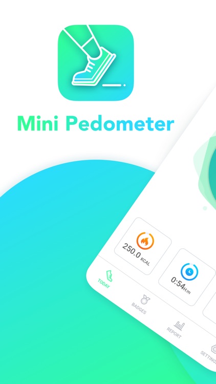 Mini Pedometer