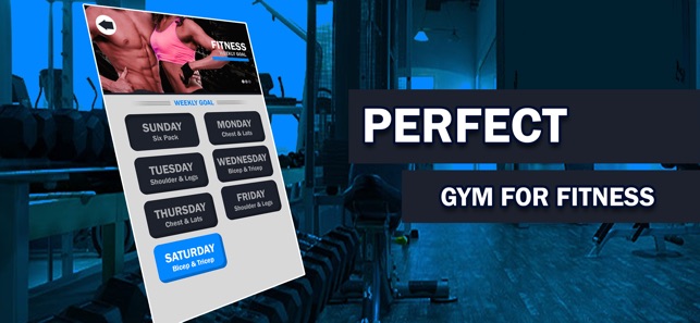 Gym Body Perfect Workouts Gym(圖6)-速報App