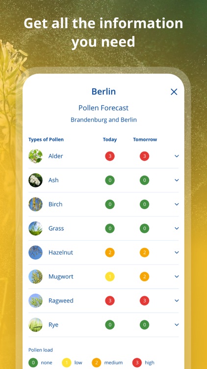 wetter.com screenshot-8