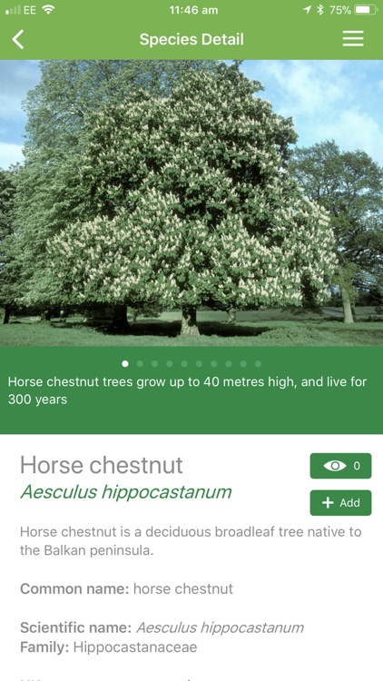 British tree identification screenshot-3