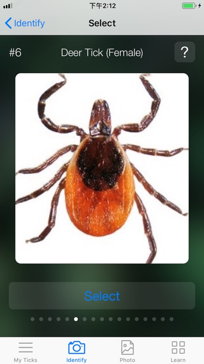 Tick bug guide