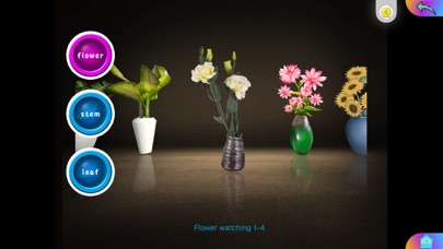 Vermillion Flower screenshot 3