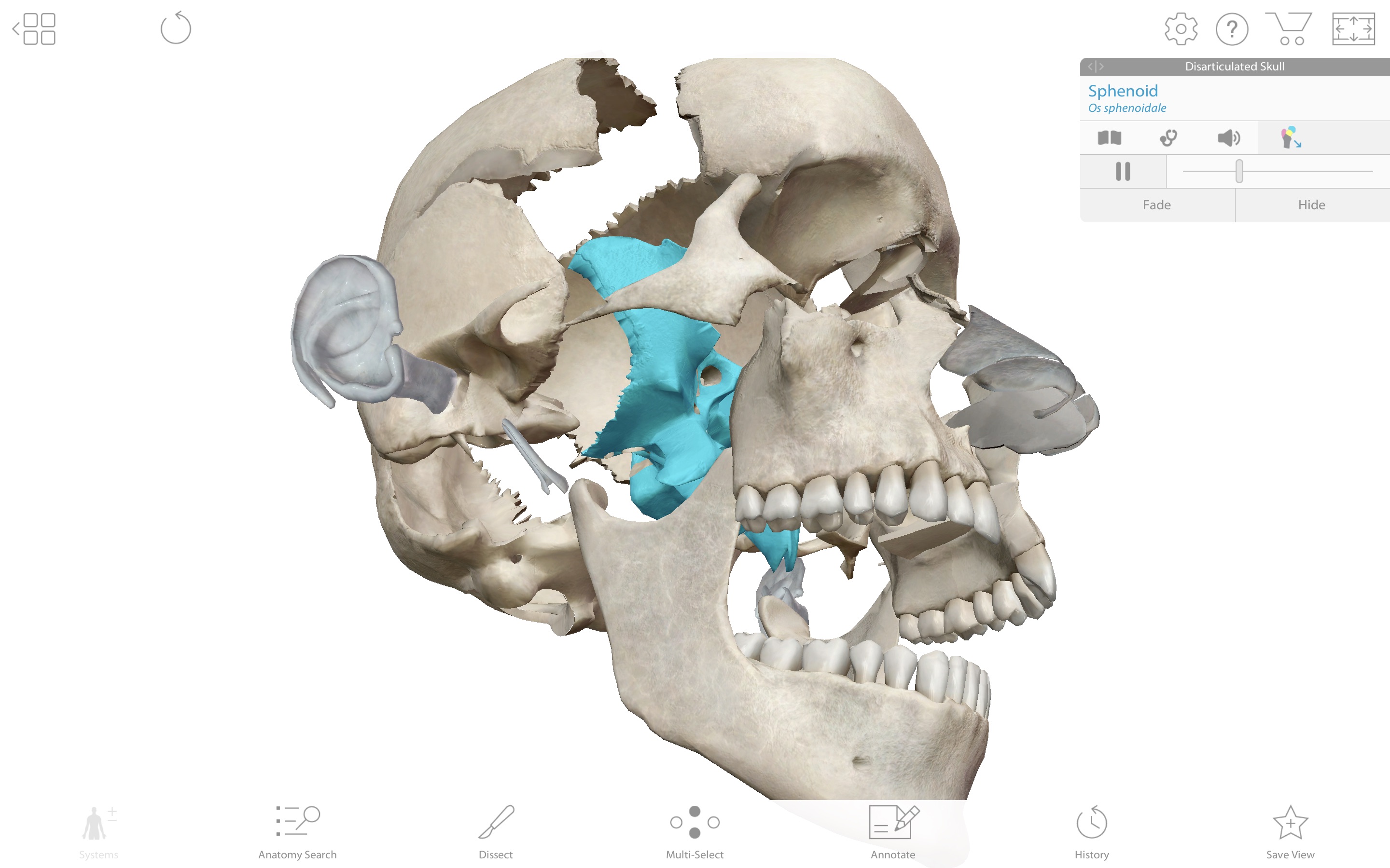Screenshot do app Human Anatomy Atlas 2019