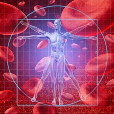 Activities of Human Anatomy : Immune System