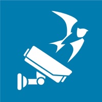 freedom Видеонаблюдение на пк