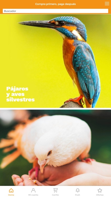 Complementos Para Aves screenshot-3