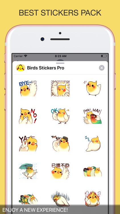 Birds Stickers Pro