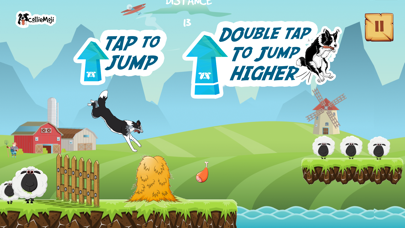 CollieRun - Dog agility game screenshot 3