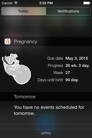 Pregnancy App - náhled
