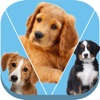 Cute Puppy Dog Puzzles