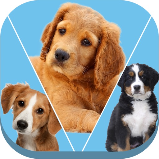 Cute Puppy Dog Puzzles