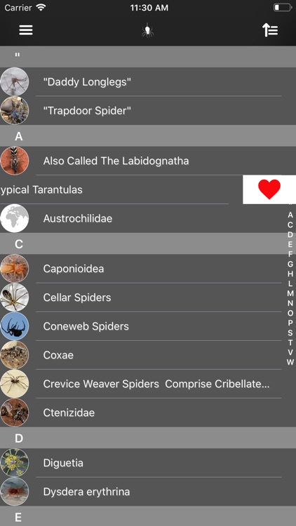 Spiders 2.0 screenshot-7