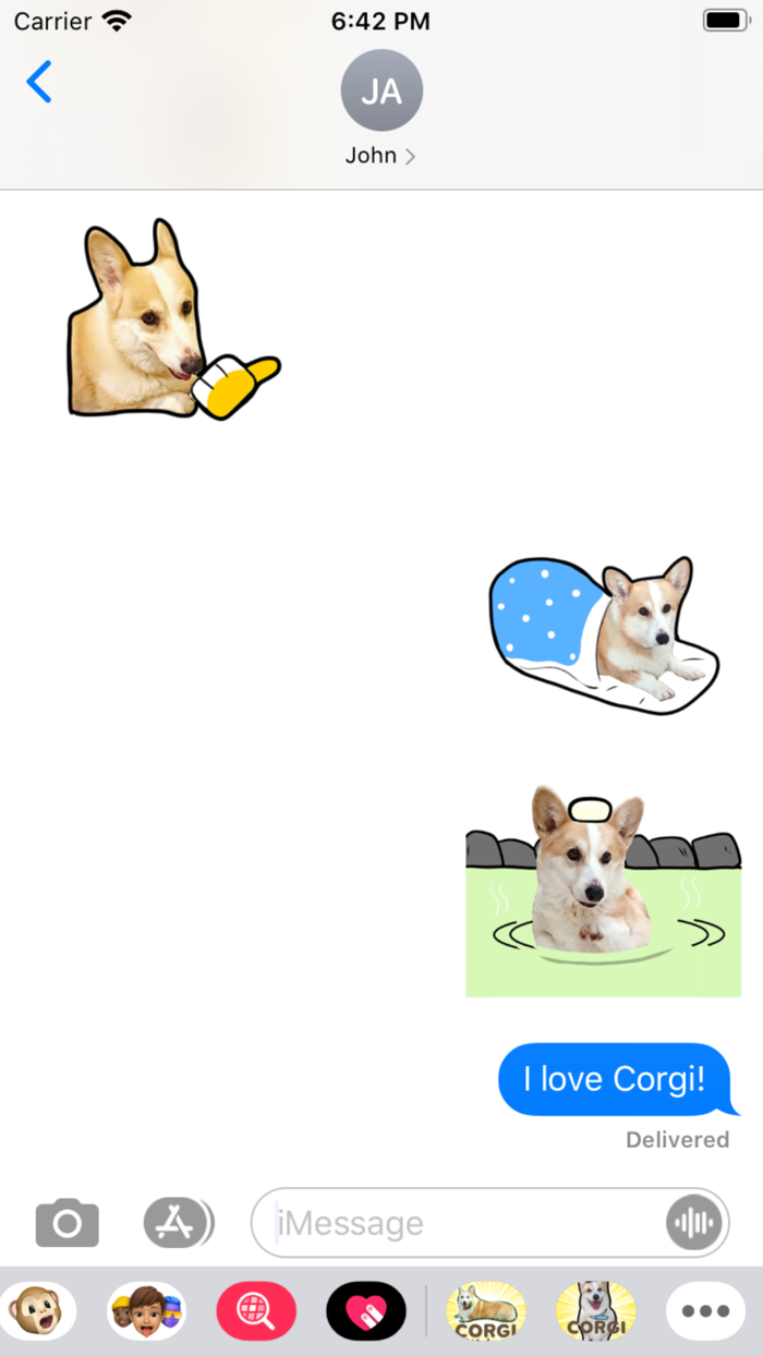 コーギーの日常