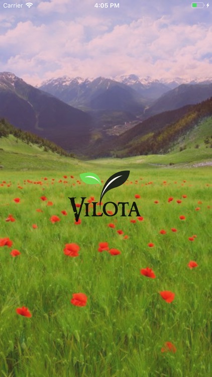 Vilota