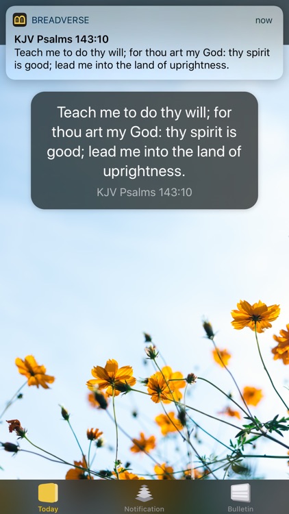 BreadVerse: Daily Bible Verse screenshot-7