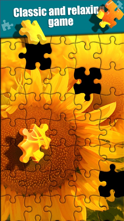 Jigsaw Puzzle: Perfect Design