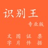 Get 扫描识别王-专业版-批量把图片转文字 for iOS, iPhone, iPad Aso Report