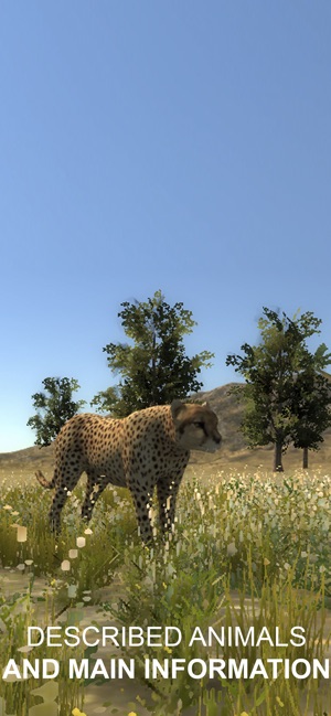 Explain 3D: African animals(圖2)-速報App