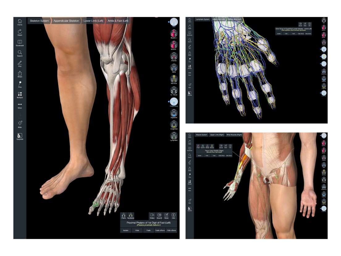 essential anatomy 5 app