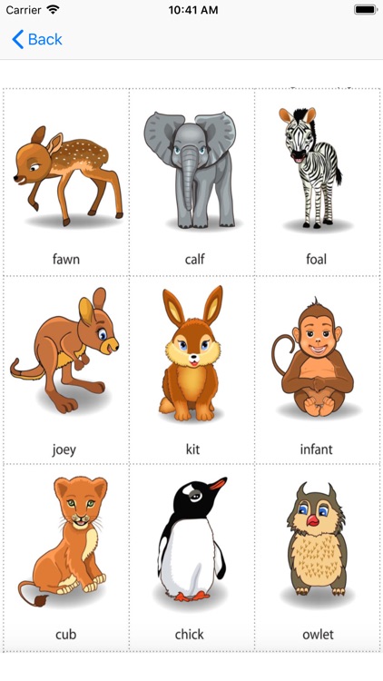 Animal With random quiz screenshot-3