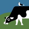 Trewithen Dairy App