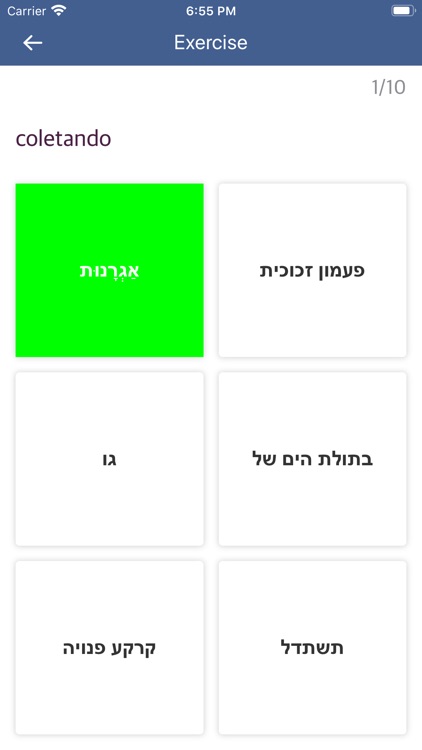 Portuguese Hebrew Dictionary screenshot-3