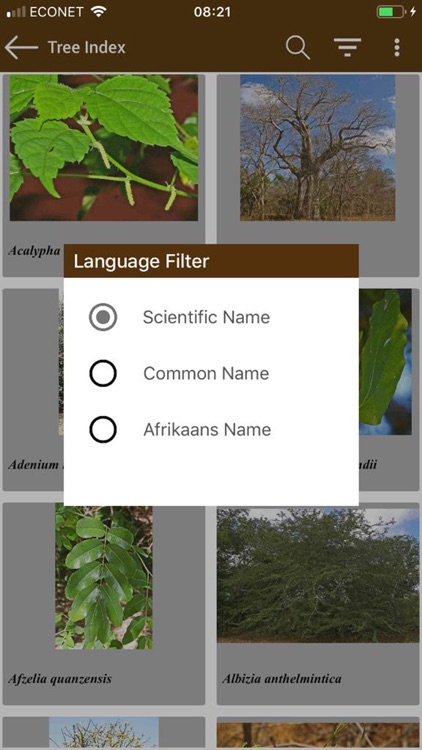 Key to Trees - Southern Africa screenshot-5