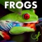 Pictures of frogs and toads from around the world