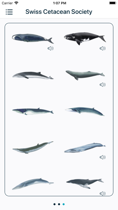 SCS - Swiss Cetacean Society screenshot 3