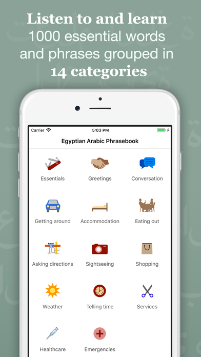 Easy Egyptian Arabic screenshot 3