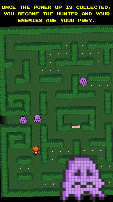 Rotate The Maze screenshot 3