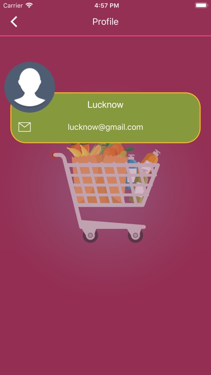 Lucknow Grocery Stores screenshot-8