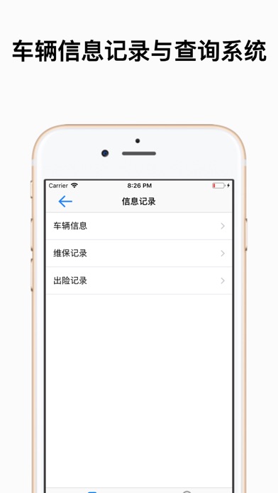 车辆信息记录与查询系统 screenshot 2