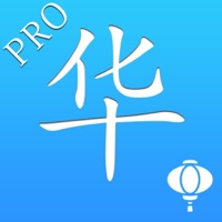 华人VPN Pro - 中国VPN加速内音乐视频游戏直播