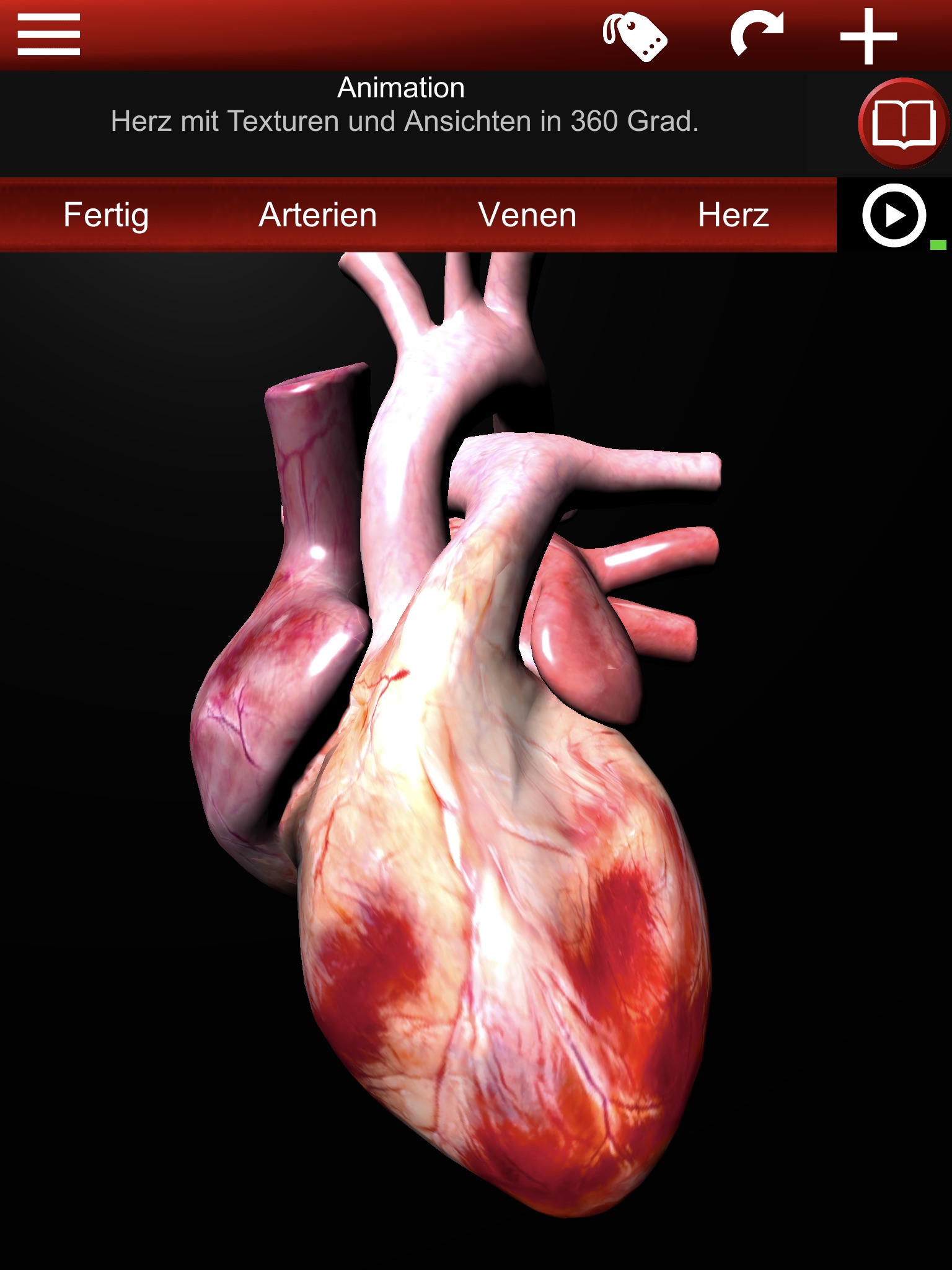 Circulatory System 3D Anatomy screenshot 4