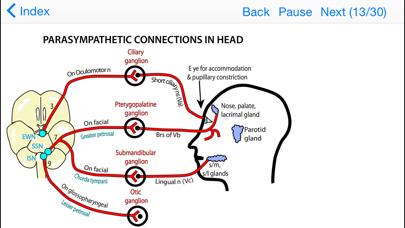 How to cancel & delete Anatomy Topics in Focus from iphone & ipad 3