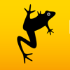 Guide Nouvelle-Zélande | Frogs - Frogs-in-NZ