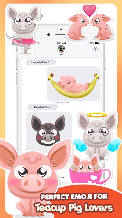 Mini-Pig Pet Emoji Stickers