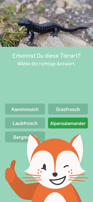 Der Fuchs auf Dux(圖3)-速報App