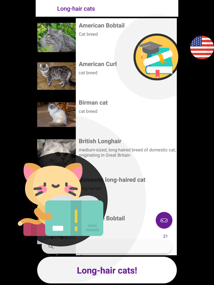 Cat Quiz Game 2019