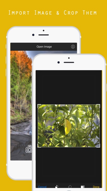 Blur Background Photo Editor