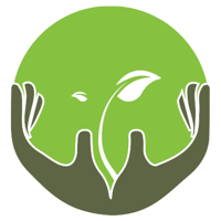 Life Touch Massage  Wellness