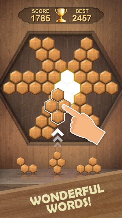 Woody Puzzle Block Game screenshot-7
