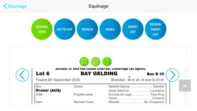 Equinage screenshot 3