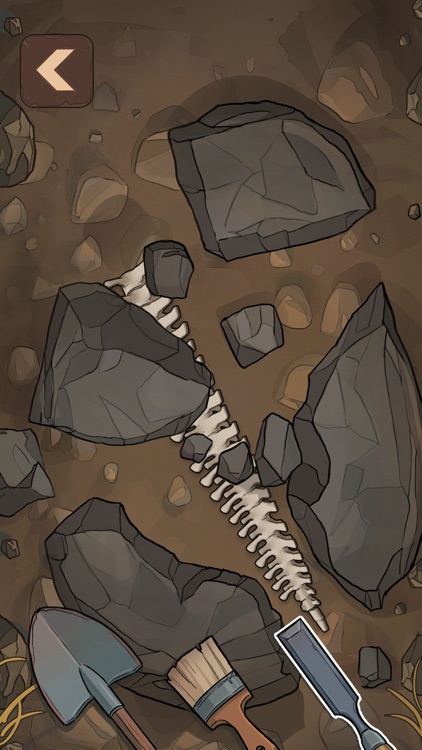 Fossil Discovery Adventure screenshot-3