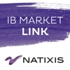 IB Market Link